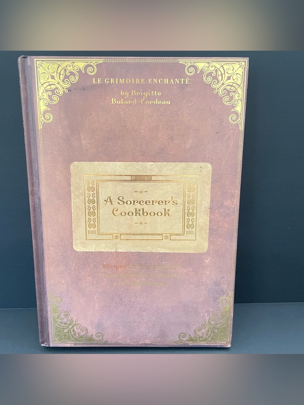 A Sorcerer's Cookbook Whimsical Witchy Grimoire Book EUC Brigitte Bulard-Cordeau